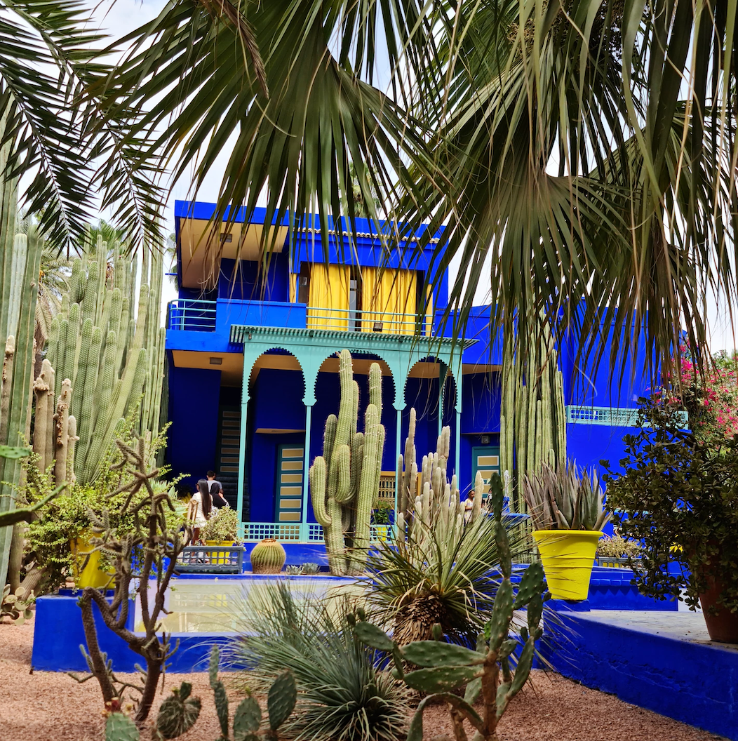La villa bleue du Jardin Majorelle à Marrakech, entre palmiers et cactus