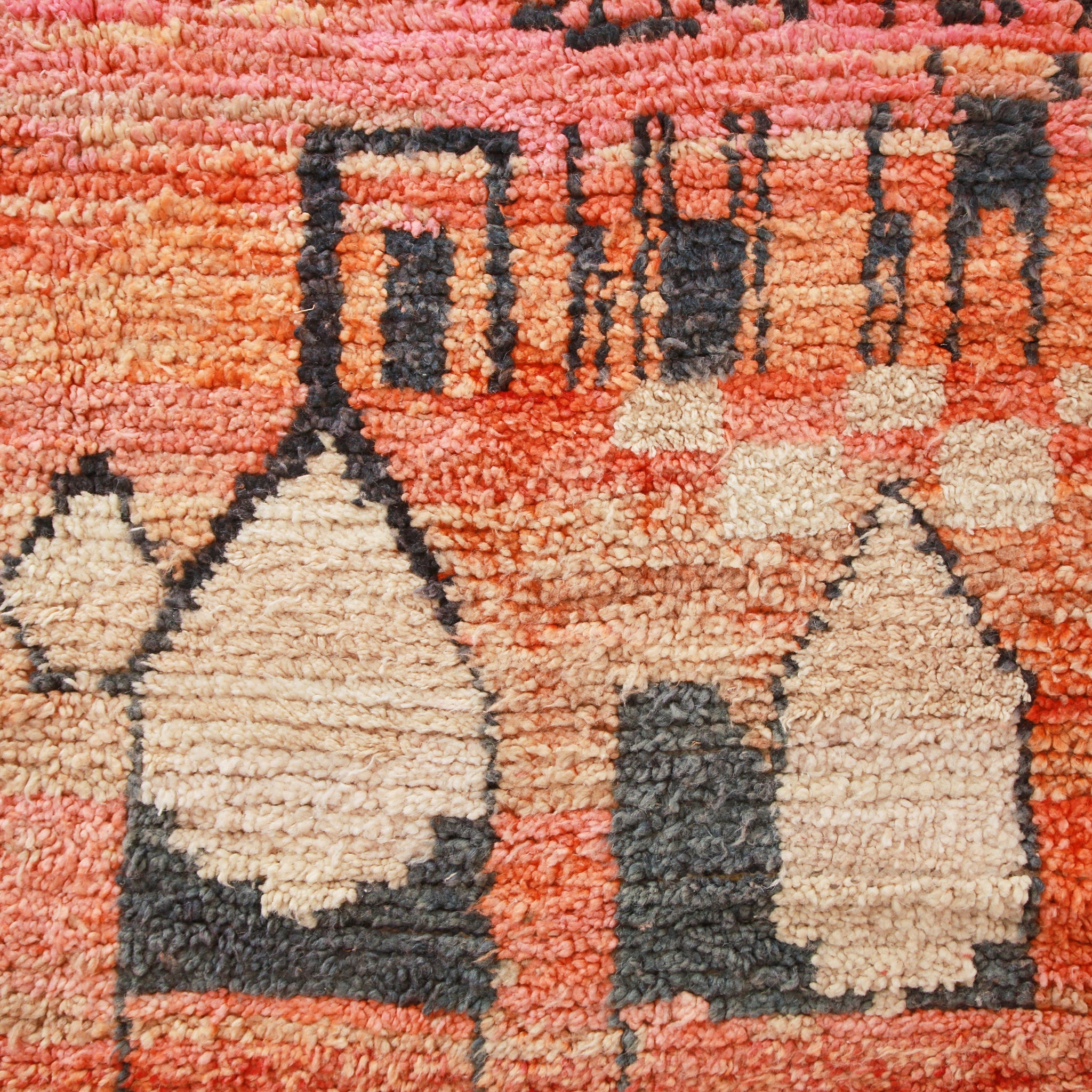 dettaglio del tappeto boujaad che mostra le immagini dei cammelli